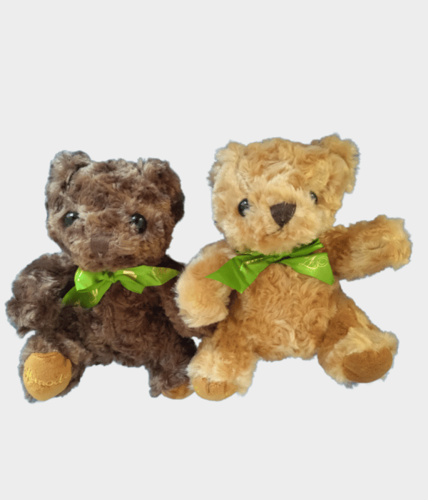 Plush Green and gold Bow Bear 18cm